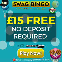 Free Bingo Money No Deposit